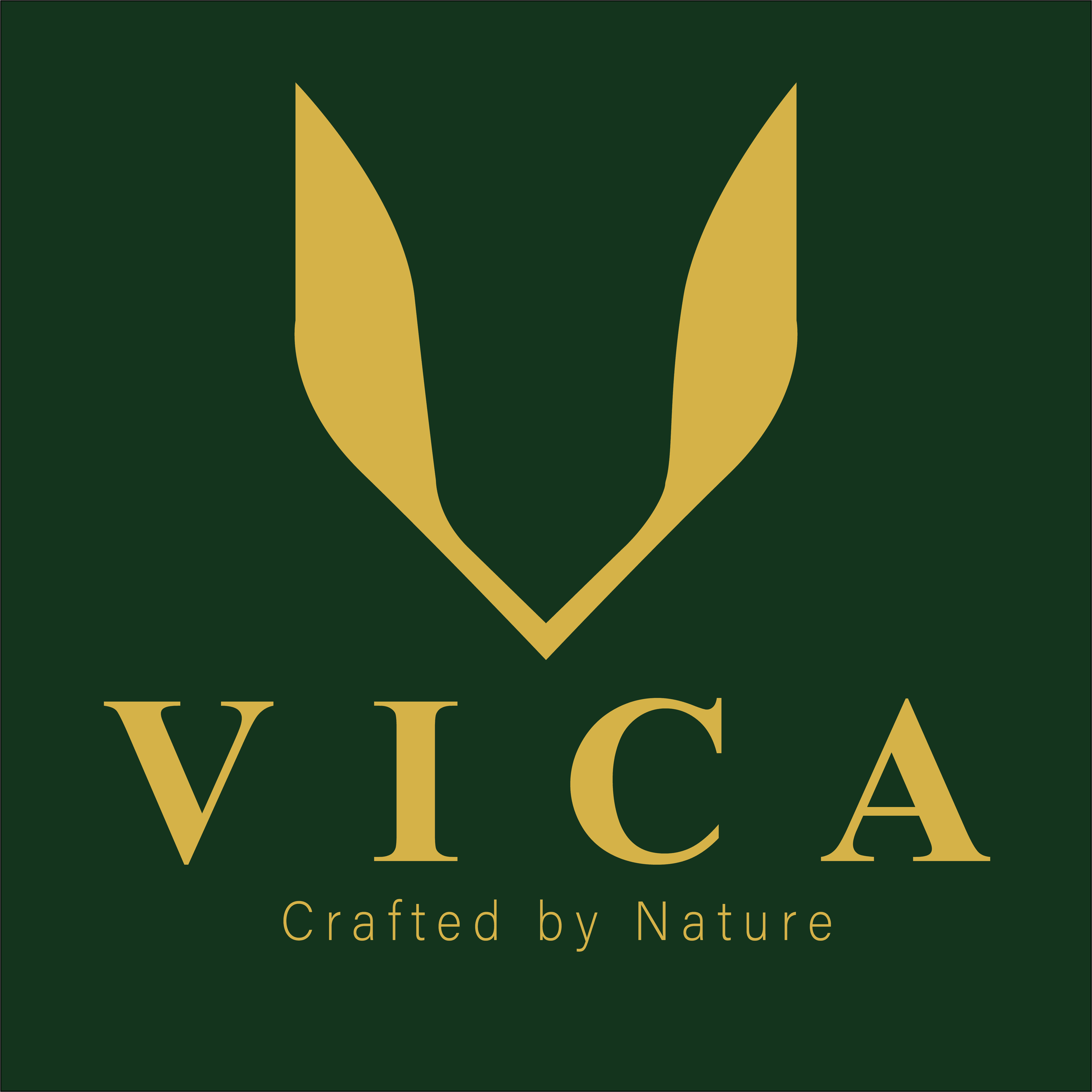 VICA