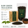 Raw Green Tea Leaves from Assam | Export Quality Tea – VICA